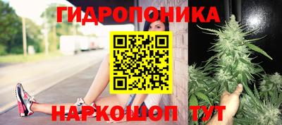 spice Усть-Джегута