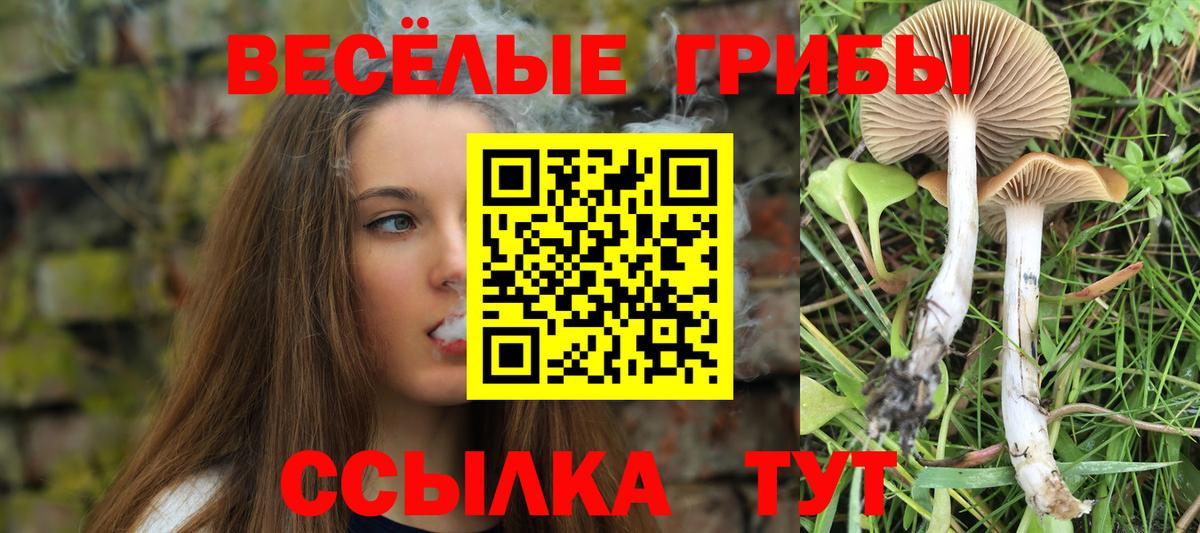 Меф мяу мяу Магадан