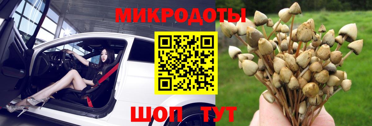Галлюциногенные грибы мицелий Магадан